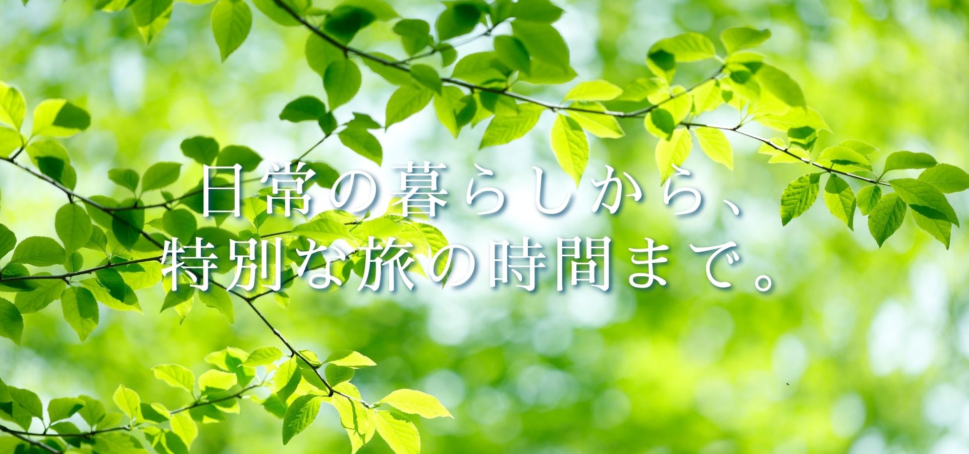 ライフスタイル事業イメージ